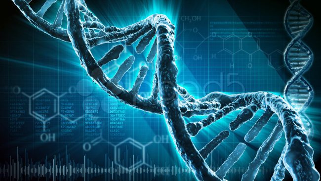 Фото - Разработаны ДНК-нанопроводники, которые могут быть использованы в создании генетических компьютеров