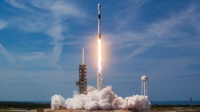 Фото - SpaceX нацелилась на новый рекорд. В следующем году её космические корабли будут летать на орбиту каждые 3,5 дня