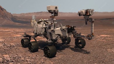 Фото - Ровер Perseverance обнаружил на Марсе органические вещества. Их привезут на Землю для изучения