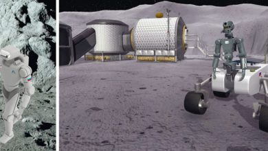 Фото - Создатель робота «Федор» представил два варианта лунного робота