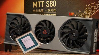 Фото - Уникальный случай на рынке видеокарт: полностью китайская карта Moore Threads MTT S80 выступила на уровне GeForce GTX 1060